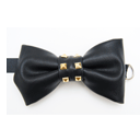 Ethnology_BowtieNegro